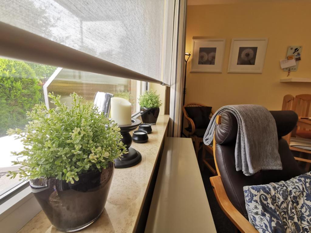 Appartement Pellworm à Horumersiel Extérieur photo
